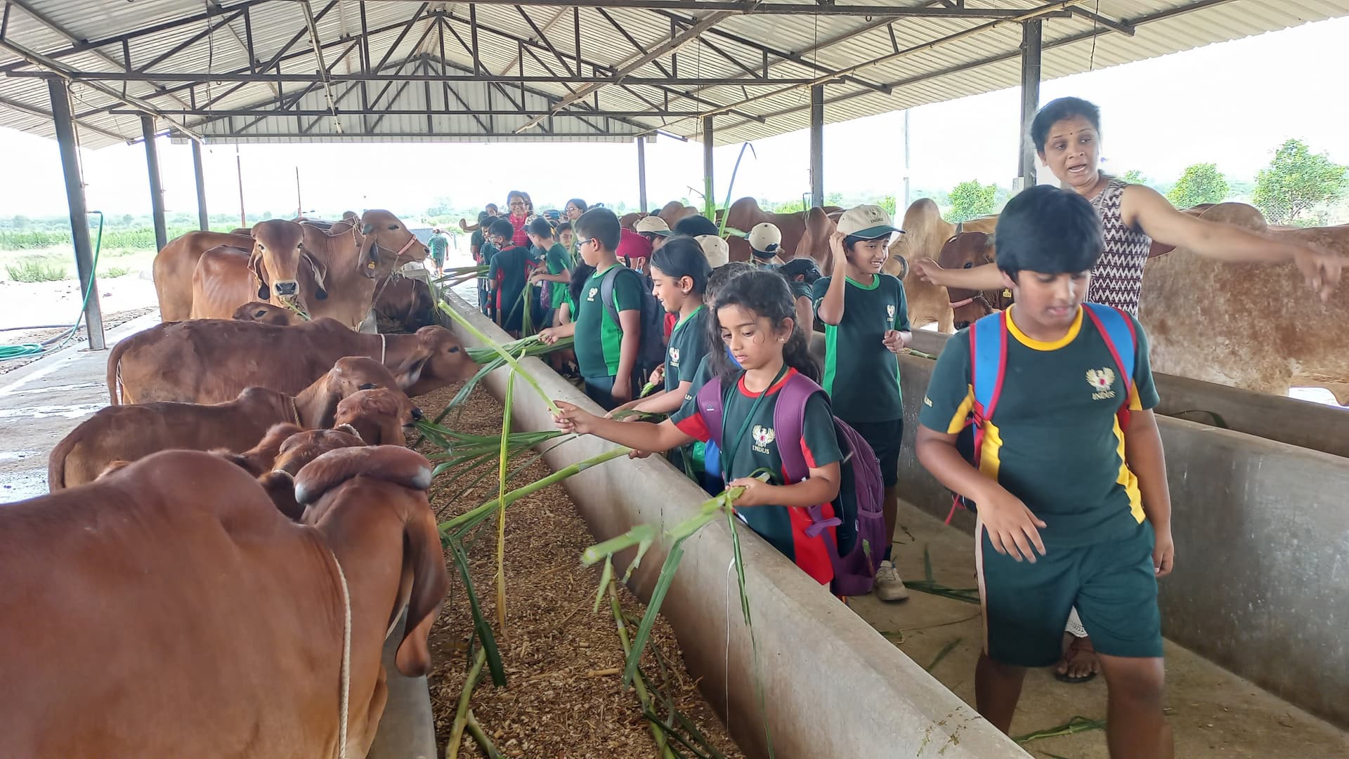 Educational tour at Gaushala