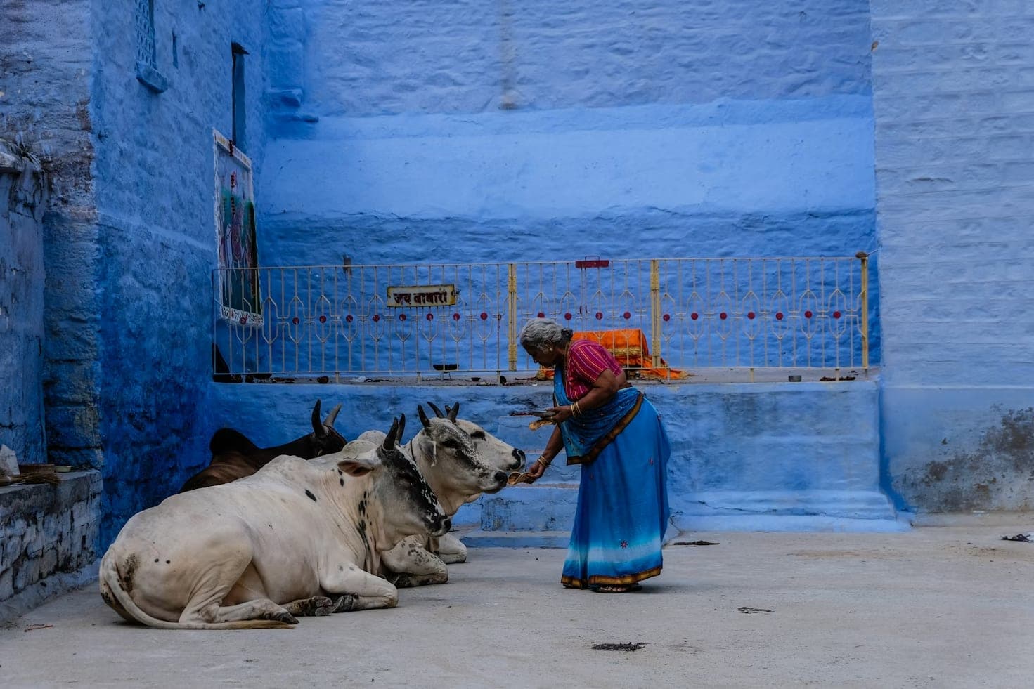 Gopashtami 2024 - Celebrating the Sacred Cow